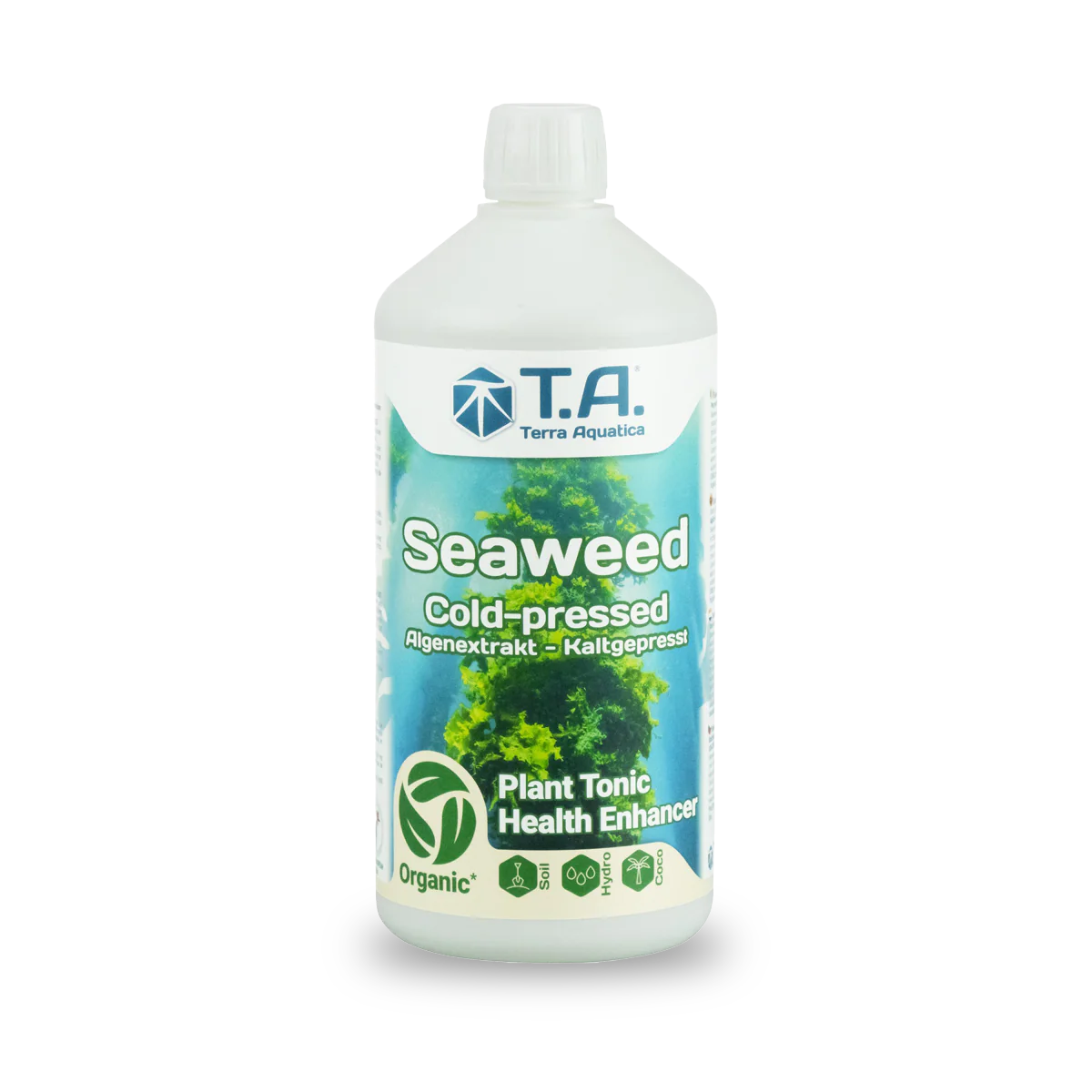 Seaweed